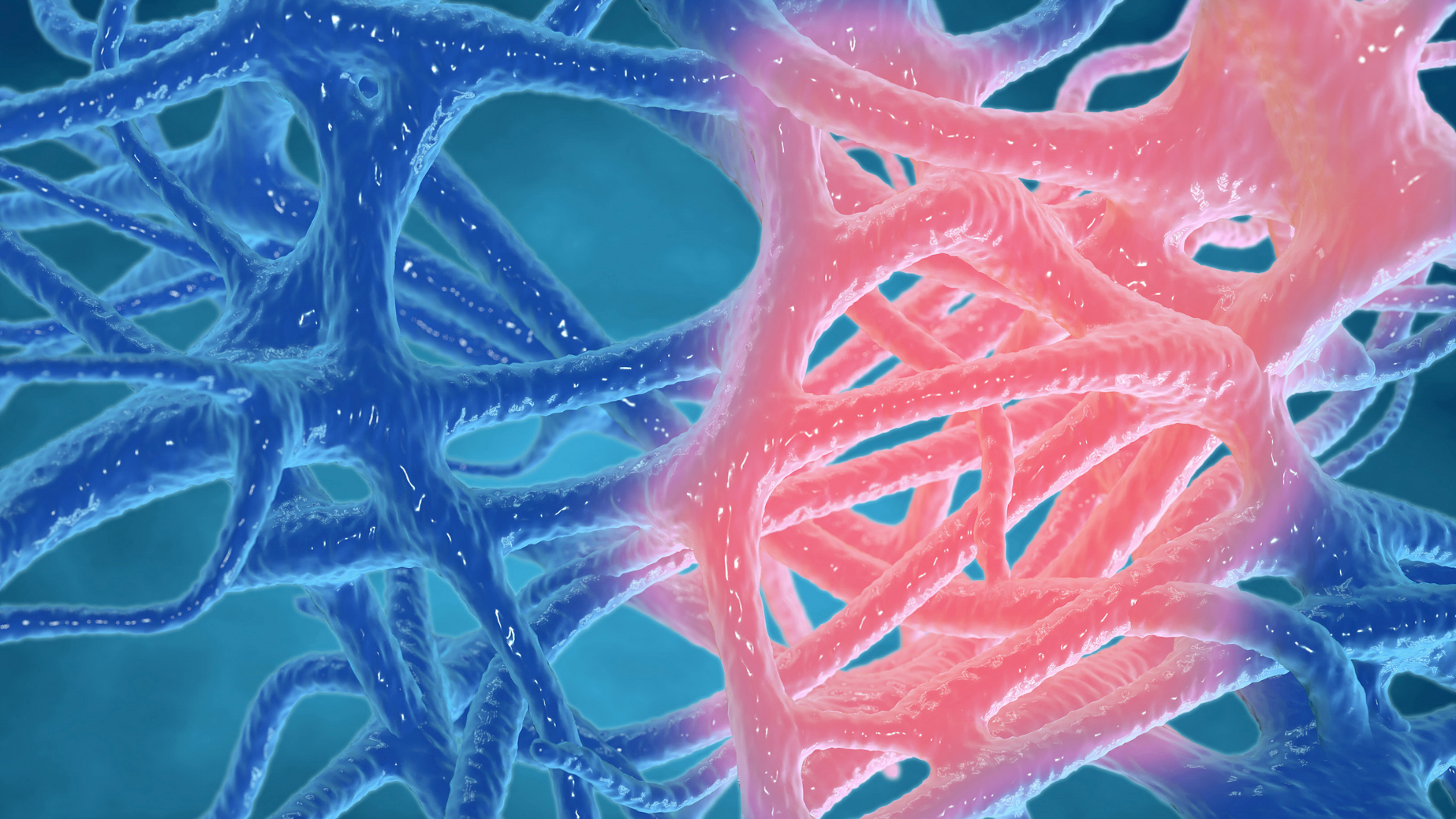  Inflammation concept, inflammated human tissues 3d rendering.