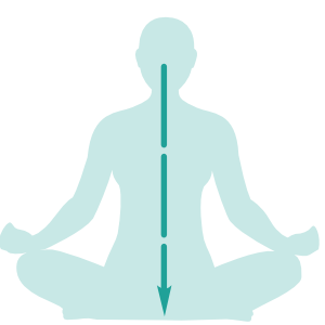 6 Image depicts Krama