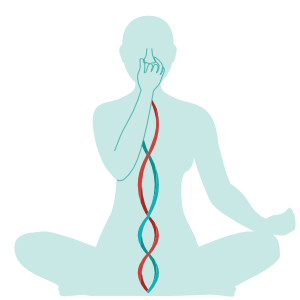 Image depicts Nostril breathing