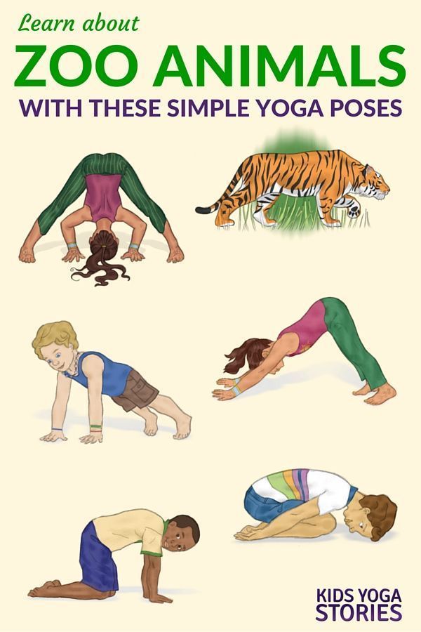Learn about zoo animals through yoga poses for kids | Kids Yoga Stories