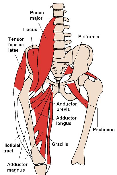 Learn how to stretch Psoas muscle through different yoga poses. #psoas