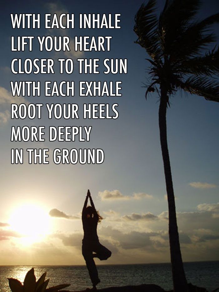 Stay grounded and at the same time open your heart ♥ #yoga #ogi #namaste #suja...