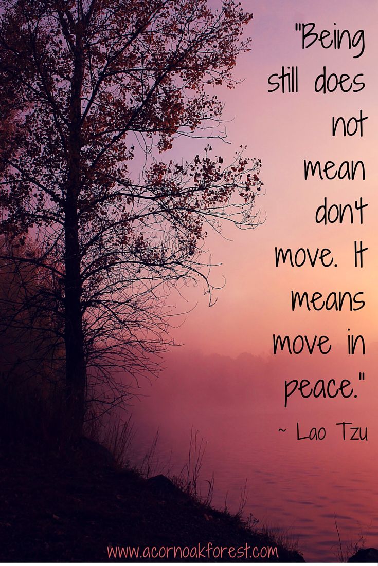 “Being still does not mean don't move. It means move in peace.” - Lao Tz...