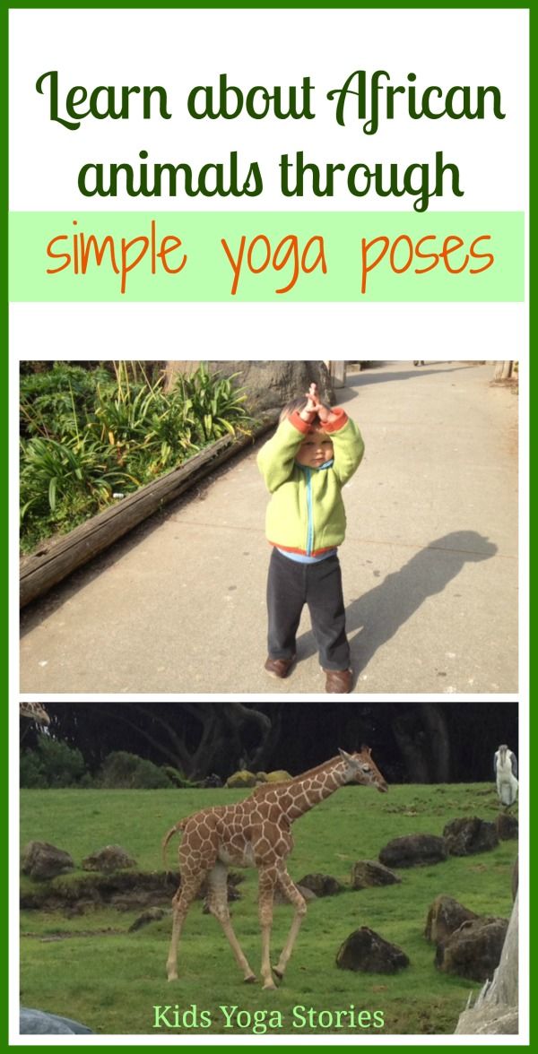 Learn about African Animals through simple yoga poses for kids by Kids Yoga Stor...