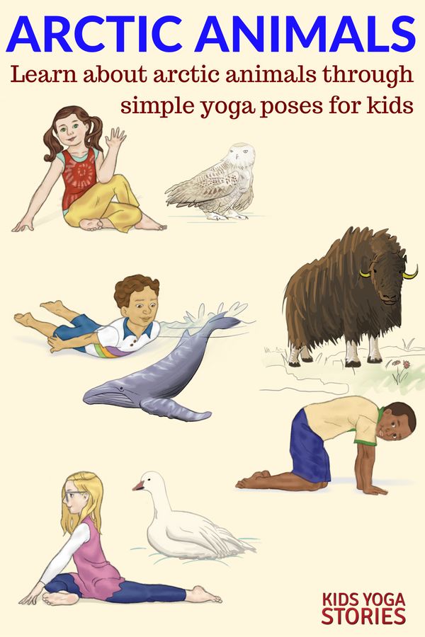 Learn about Arctic Animals through simple yoga poses for kids | Kids Yoga Storie...