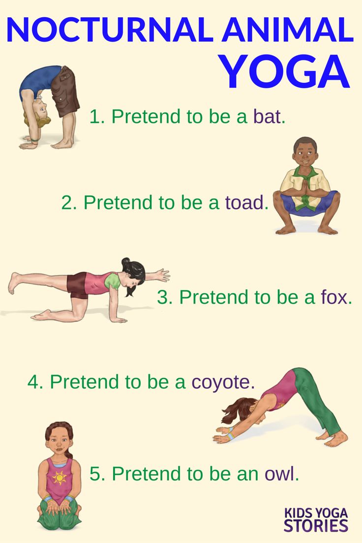 Learn about Nocturnal Animals through Books + Yoga Poses for Kids | Kids Yoga St...