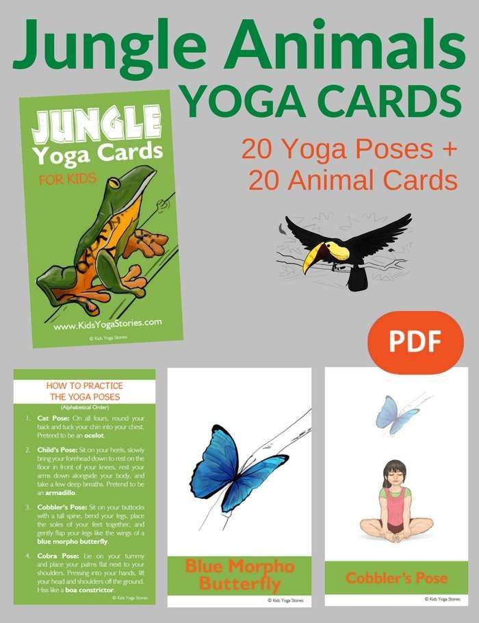 Learn about jungle animals through movement. Pretend to be a turtle, toucan, and...