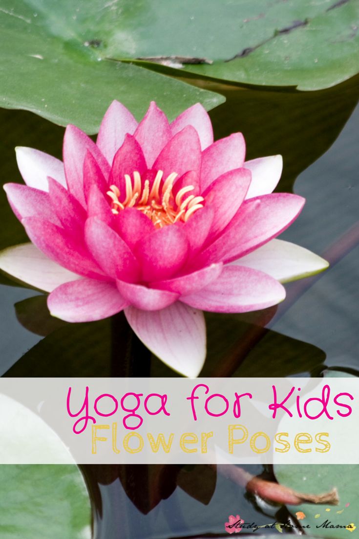 Yoga for Kids: Flower Poses. How to safely do yoga with kids, including lotus po...