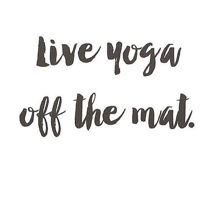 101 Likes, 6 Comments - My Yogi Quest (@myyogiquest) on Instagram: “Yoga isn&#...