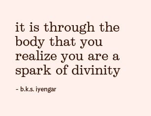 It is through the body that you realize you are a spark of divinity.   ~ BKS Iye...