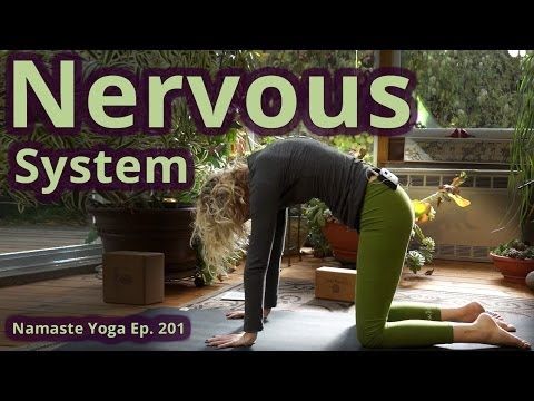 Nervous System Yoga - Benefits of Yoga Series  Nervous System Intermediate Class...