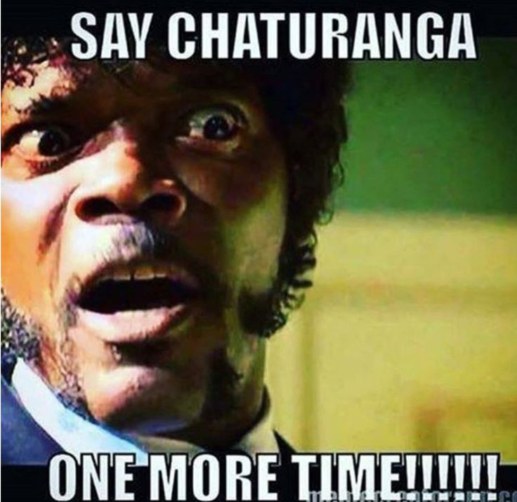 Say chaturanga ONE MORE TIME!