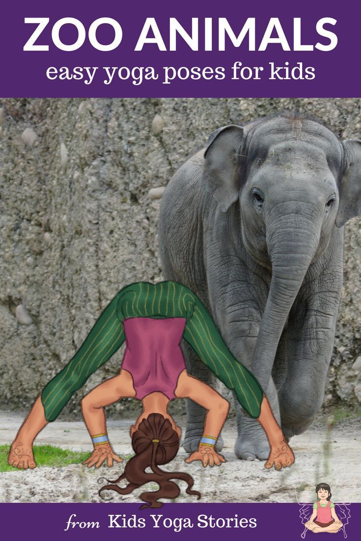 Zoo Animals Yoga Poses for Kids: Learn about zoo animals through yoga poses for ...
