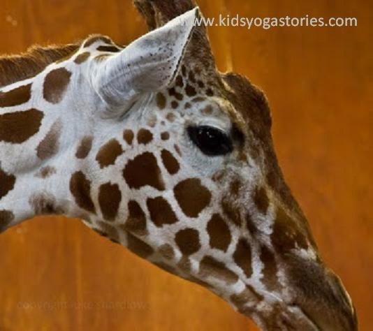 Giraffe ~ Arms stretched up high, eating leaves from a tree (kids yoga pose)