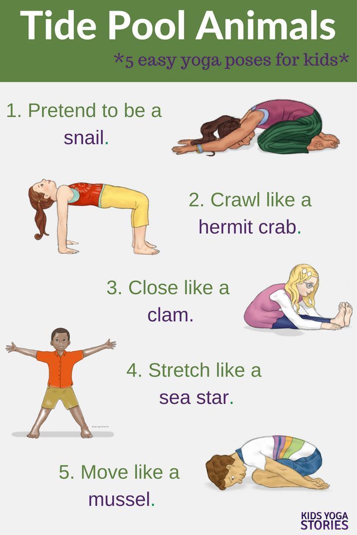 Tide Pool Animals Yoga!  Did you ever spend hours peering into the miniature wor...