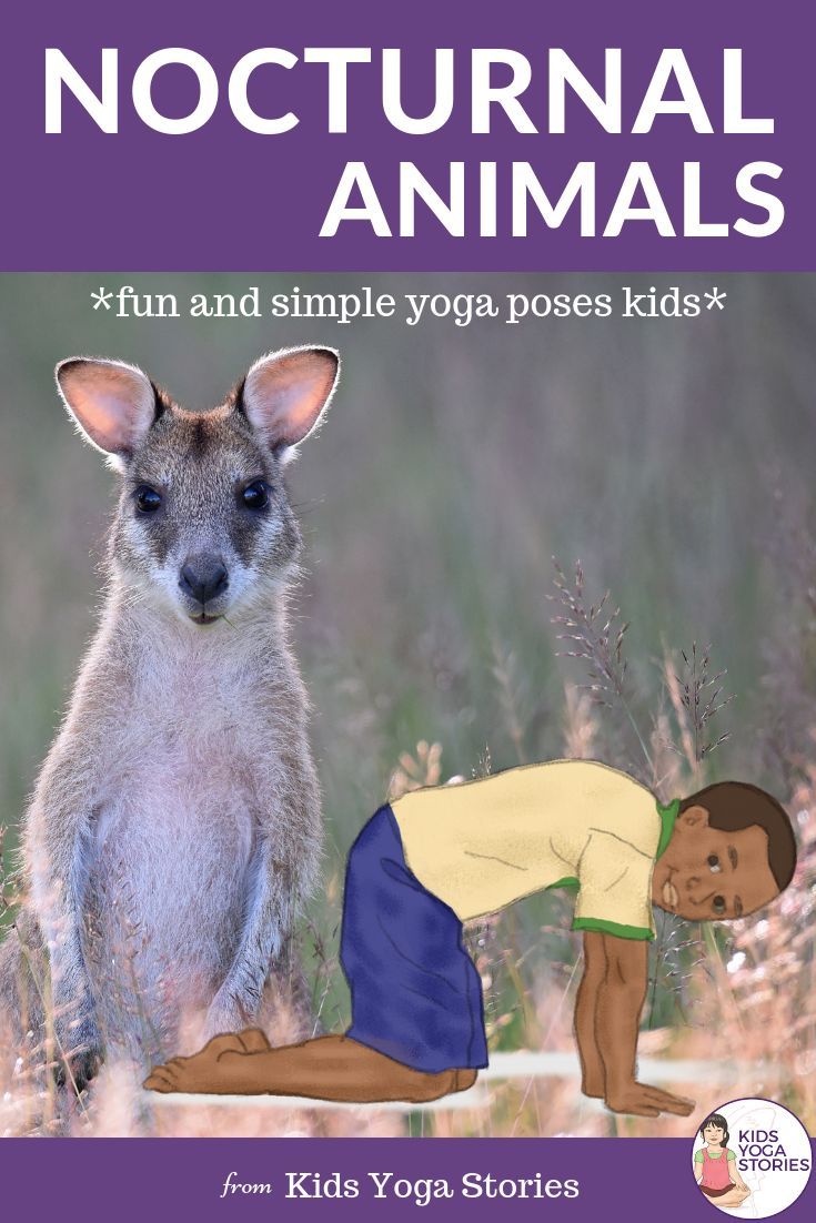 Nocturnal Animals Yoga Cards for Kids!  These printable yoga cards are a great a...
