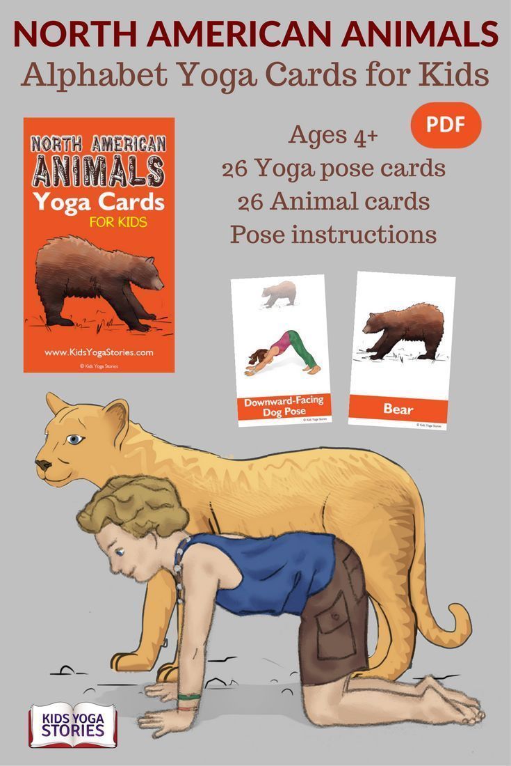 North American Animals Alphabet Yoga Cards for Kids