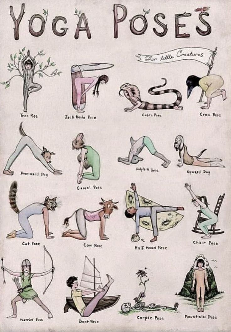 Different Yoga Exercises