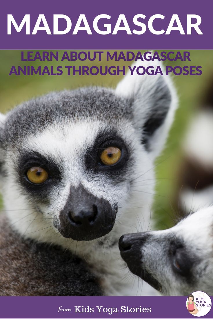 Learn about Madagascar Animals through Yoga Poses