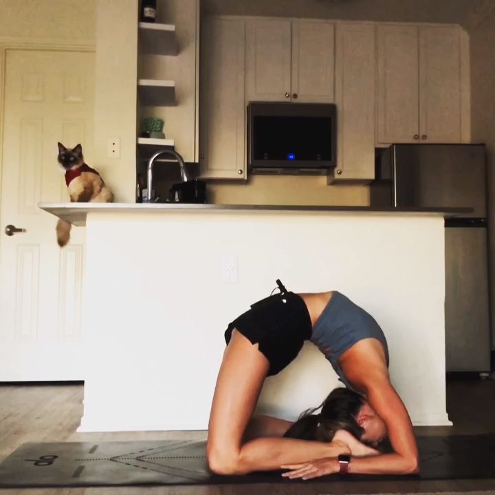 Yoga Flow at Home @yoga_ky