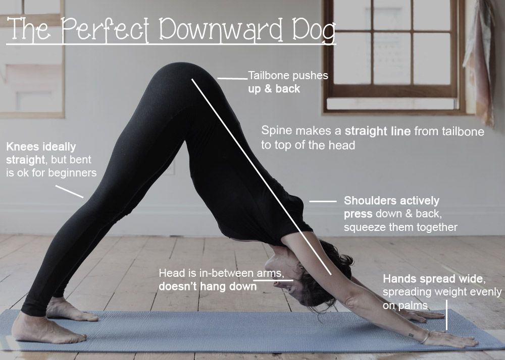 Downward Dog – Entspannungsübung für den ganzen Körper