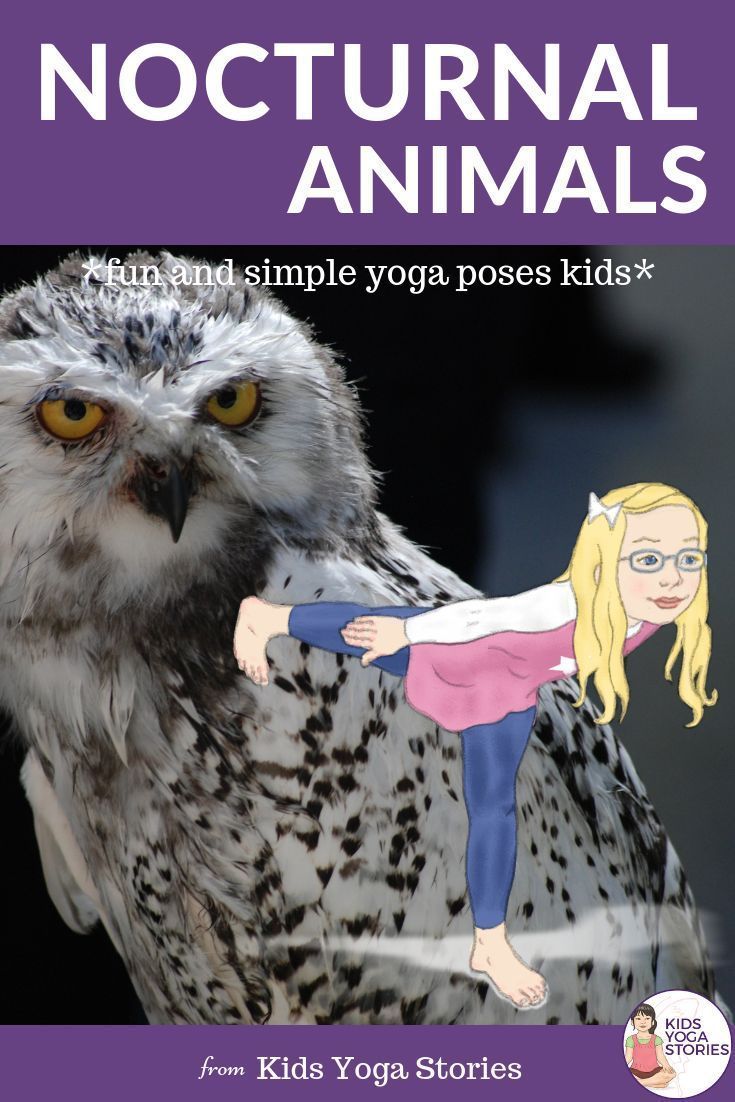 Nocturnal Animals Yoga Cards for Kids