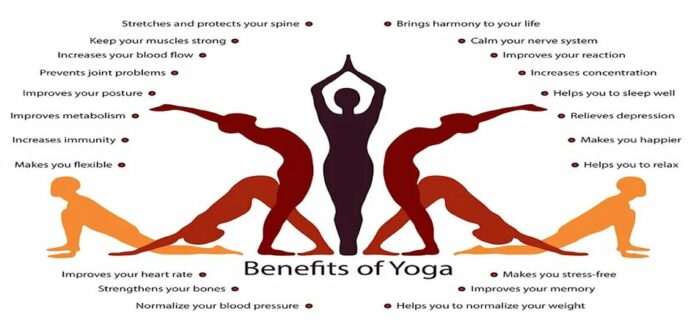 Why is yoga so important?