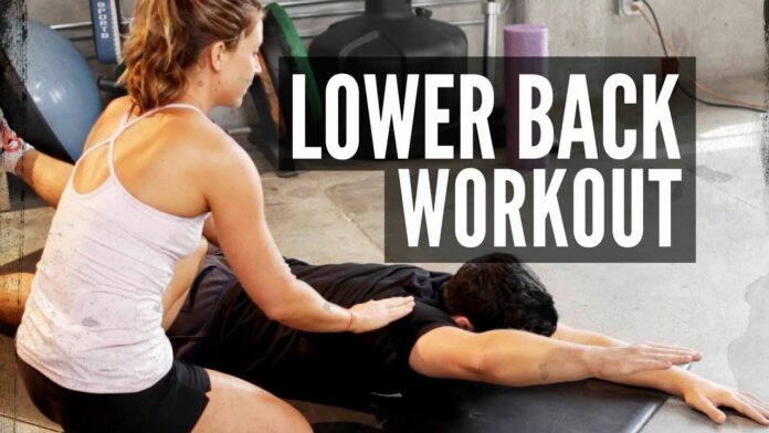 How can seniors strengthen their lower back?