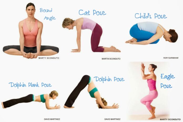 Which yoga I should do daily?