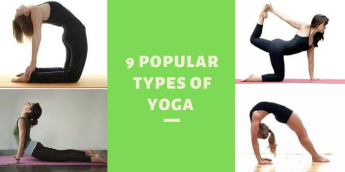 What is hatha yoga vs Yin Yoga?