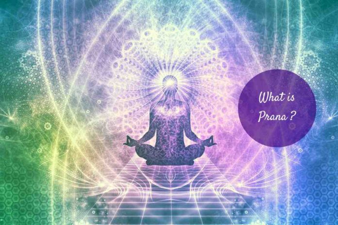 Where is prana stored in the body?