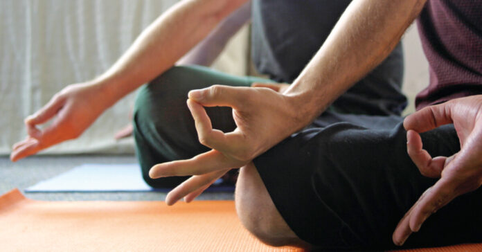 What do yoga therapist do?