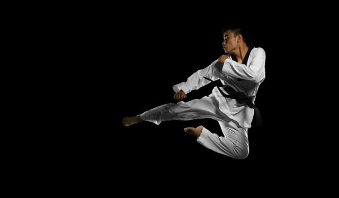 What is the mother of all martial arts?