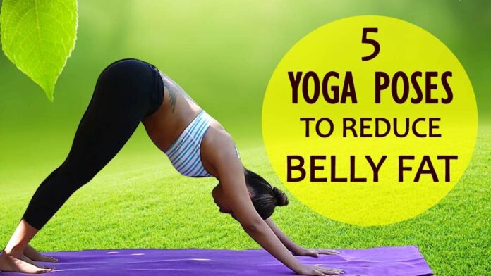 Does yoga reduce belly fat?