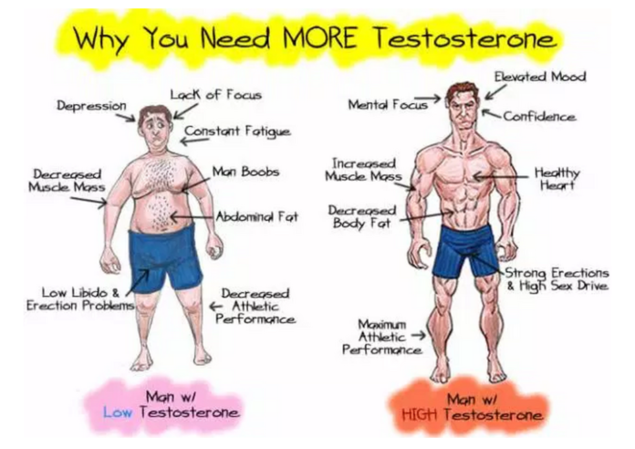 Does stretching boost testosterone?