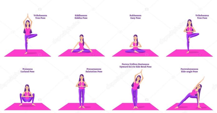 What are the 3 types of yoga?