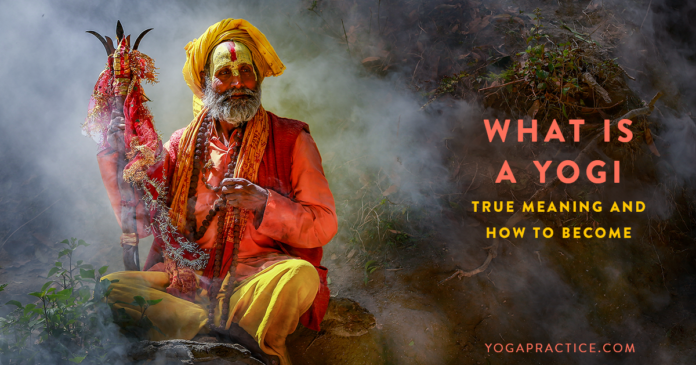 Who is called yogi?