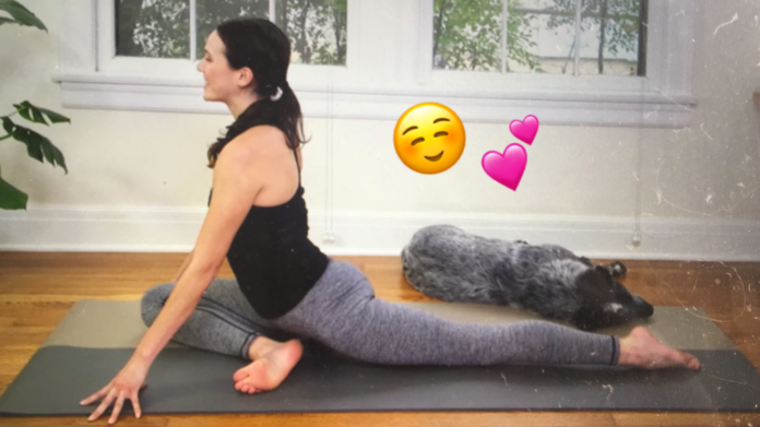 What is the most effective yoga video?