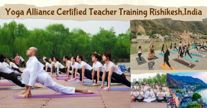 What is the most recognized yoga certification?