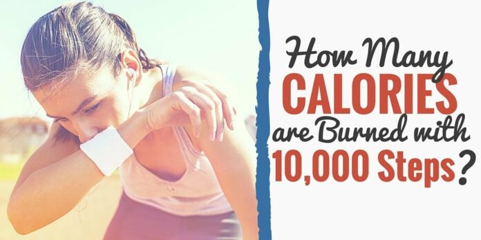 What activities burn 500 calories?
