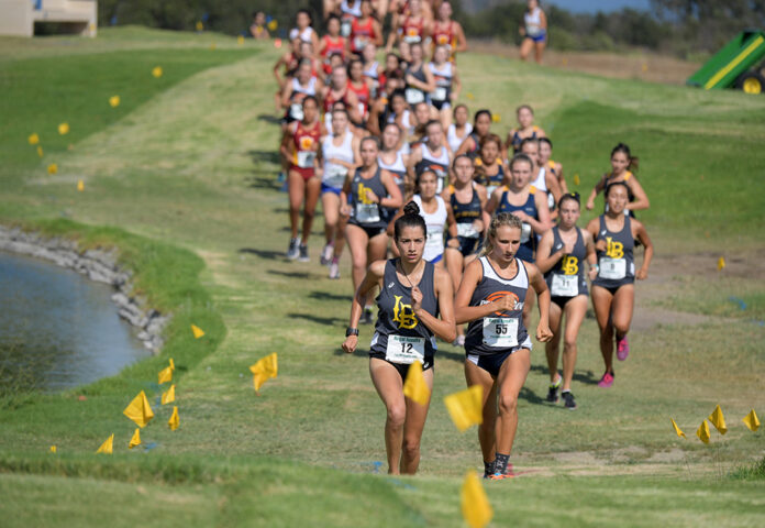 Do you have to be fast for cross country?