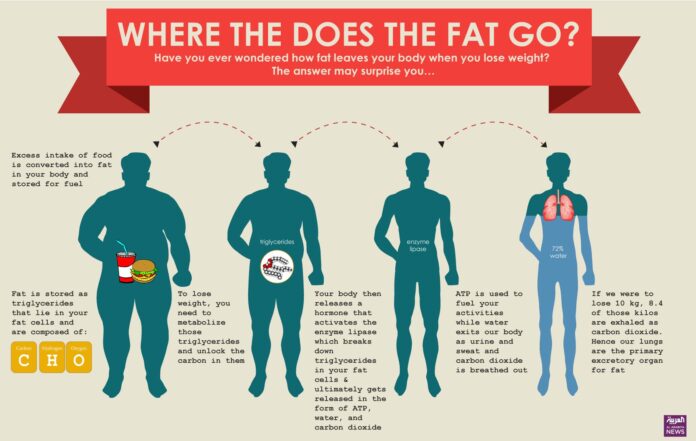 Does body fat come out in poop?
