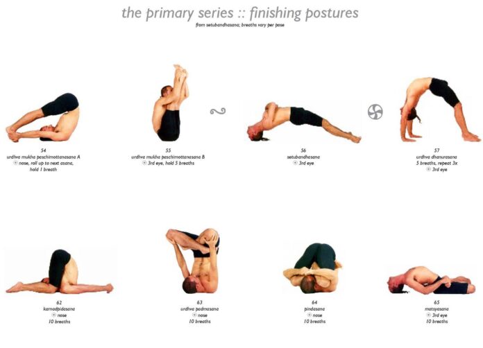 What are the types of asanas Class 12?