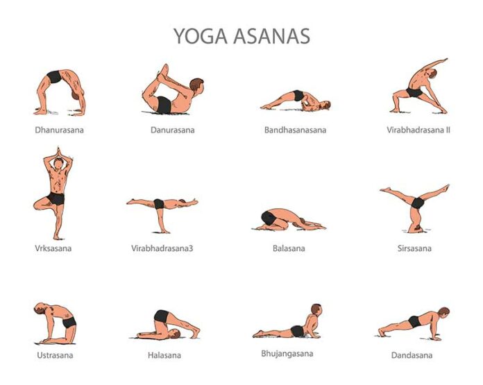 What are the 13 types of yoga?