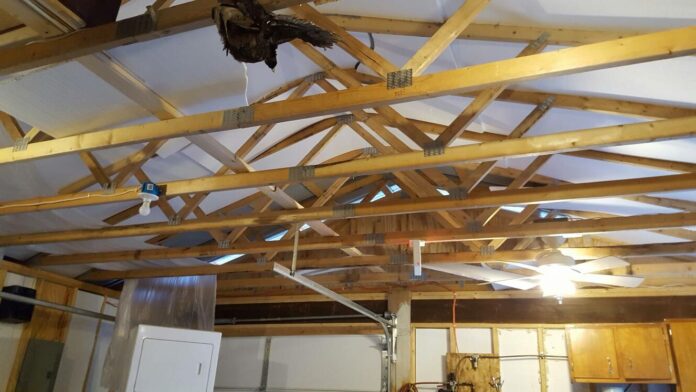 Can ceiling joist support a swing?
