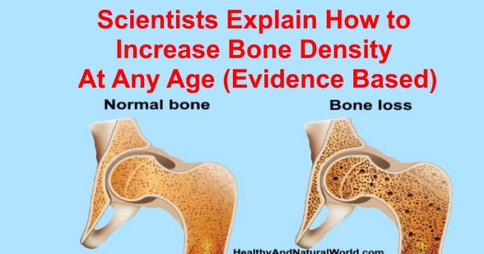 What foods destroy bone density?