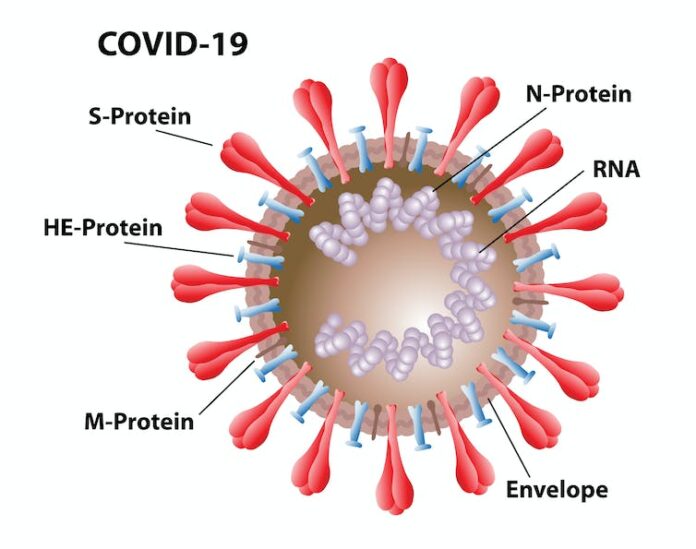 Does having an autoimmune disease make me more susceptible to COVID-19?