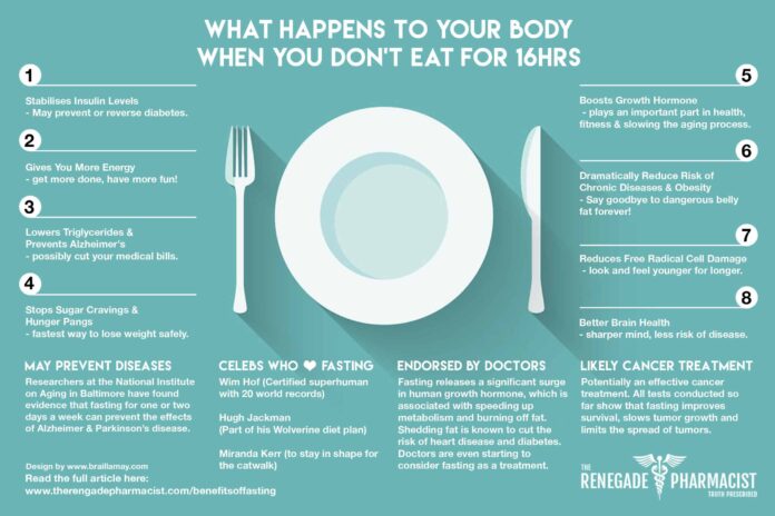 What happens to your body after 7 days of fasting?