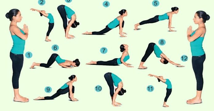 What are the 12 sun salutations?