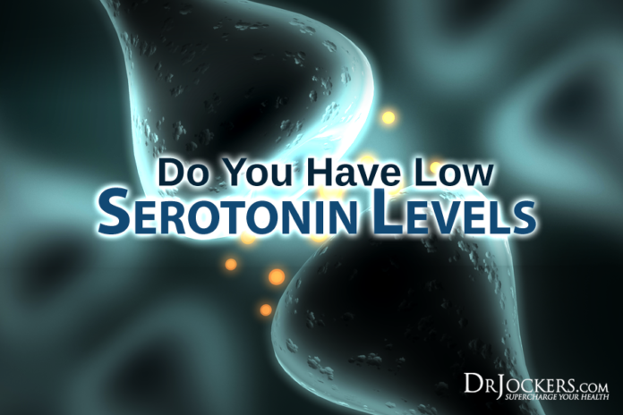 Does vitamin D increase serotonin?